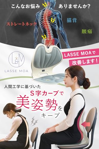LASSE MOA 姿勢サポートチェア LM-004 の商品画像 3