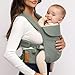 WildBird - Aerial Buckle Carrier - 2-24 Months - Standard (XS-XL) Acadian - Front or Back Carry - Cross Straps, Lumbar Support, Headrest - Hip Healthy - Baby Carrier - Baby Essentials - New Mom Gifts