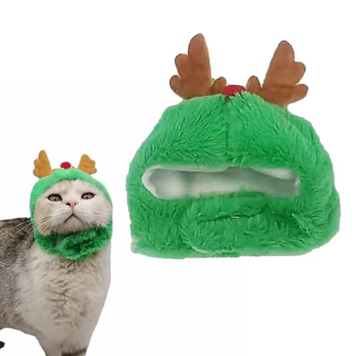 PAVIKE L 蕨 NX}X  蕨 L Xq  Xq RXv  L [X g NX}X RX`[ ^ybg _炩 ~΍ LOBe LpRXv Be  LO aObY