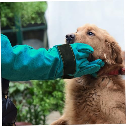 Guantes de protección para perros y gatos con diseño anticaída 4
