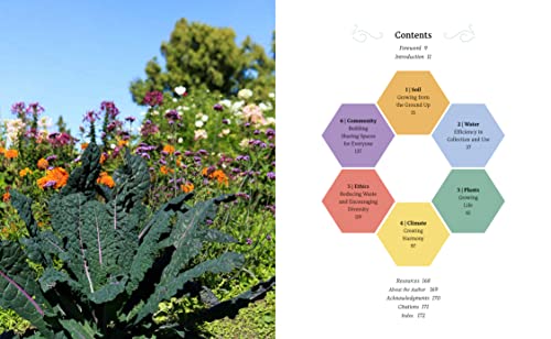 The Regenerative Garden: 80 Practical Projects for Creating a Self-Sustaining Garden Ecosystem