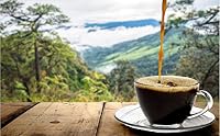Zilan Espressomaschine mit Milchaufschäumer | Siebträgermaschine | Cappuccinomaschine | Siebträger Kaffeemaschine | 1,25 L Wassertank | 15 bar | Retro Design – Ansicht 6