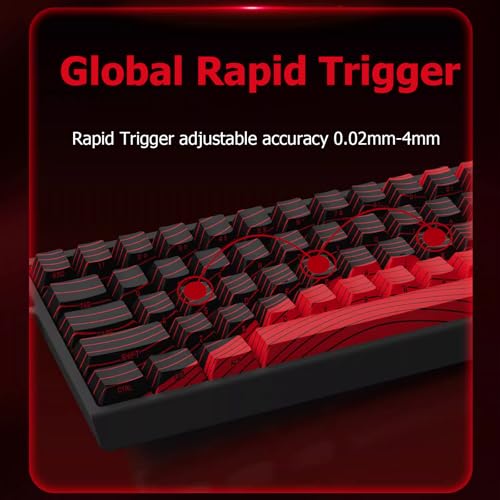 Hyekit MADLIONS MAD 60 HE RGB 60% Wired Magnetic Switch Mechanical Gaming Keyboard with Adjustable Actuation, Rapid Trigger Mode, 16 Million Colors RGB Lighting, for PC/Mac Gamer, Black