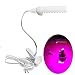 Produktbild Indoor Wachsen Lichter Plant Growth Lampe LED-Betriebslampe Led Sukkulente Wachstum Lampe Gemüse Melon Keimlinge Licht 360 ° Gooseneck Anlage wachsen Lampe mit Fill Clip (Size : Single Head 5W)