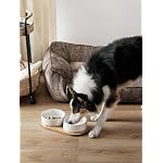 Ceramic Dog Bowls for Medium and Small Dogs - 3.2 Cup Weighted Non-Slip Food and Water Bowls with Acacia Wood Tray, Pet Bowl Set of 2 - Image 2