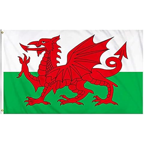Welsh Flag, Headlights Accessories For Croc Charms Cover