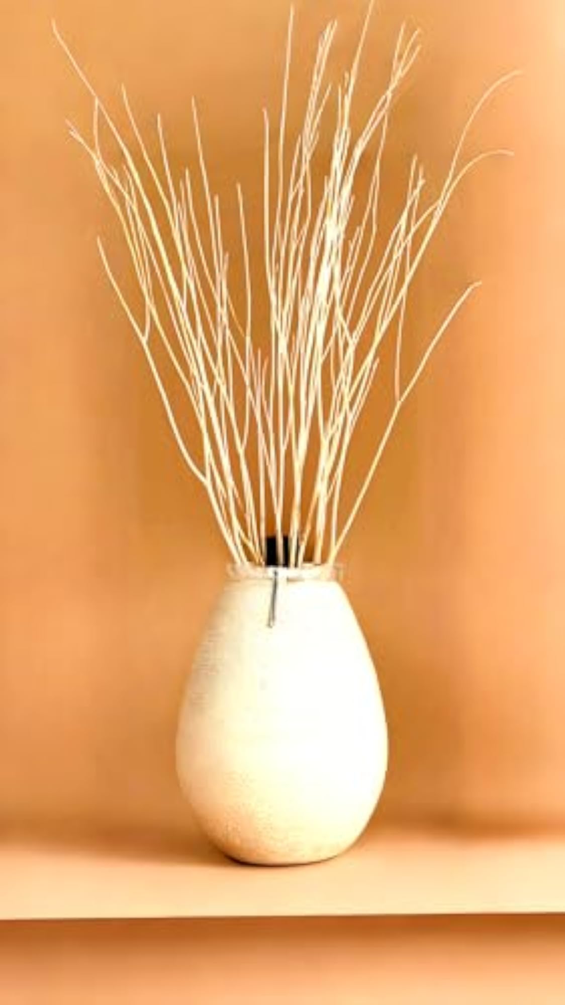 70cm Long Real Dried White Curly Willow Branches for Decor