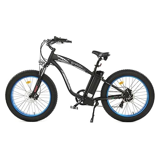 ECOTRIC Coolboy Electric Bike 26" Fat Tire 750W Electric Mountain Bike 48V 12.5AH Removable Large Battery Adult Electric Bicycles Beach Snow Mountain Bike Dual Shock Absorber & 7-Speed