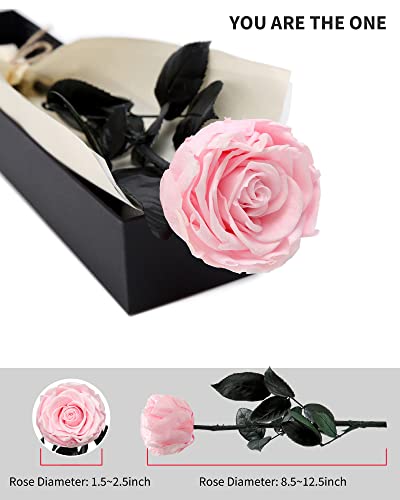 Image of Pink Flowers for Delivery Prime, Preserved Pink Roses Flower Gifts for Women, Real Roses Single Rose Gifts for Her, Mom Birthday Gifts from Daughter, Valentines Flowers