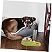 POPETPOP Pet Automatic Water Dispenser and Food Feeder Bowl for Dogs and Cats Detachable Easy to Fill and Pet Supplies