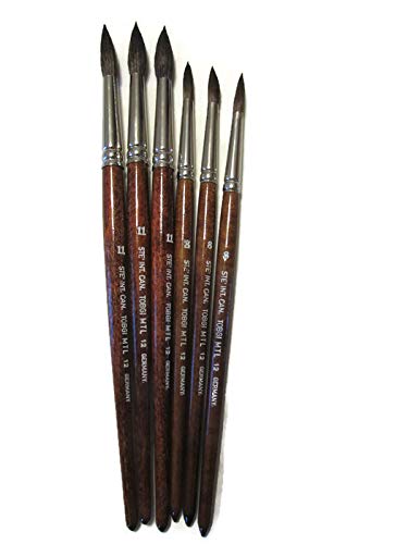 Tobgi Art 6 PCS Water Color Brushes Round Sizes #8 and #11