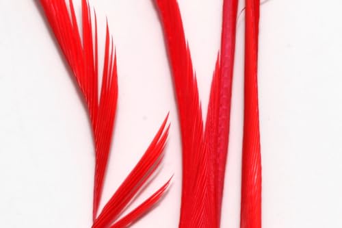 Hareline Fly Tying Stripped Goose Biots - Fl Red