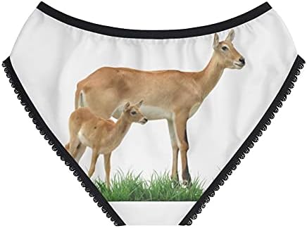 Red Lechwe Panties, Red Lechwe Underwear, Briefs, Cotton Briefs, Funny Underwear, Panties For Women