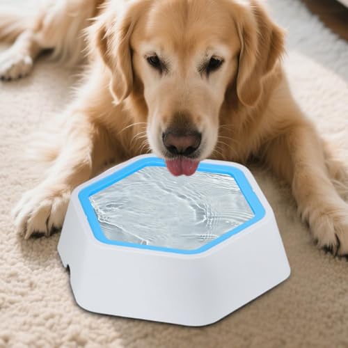 Gamelle d'eau antidérapante pour chat évitant les éclaboussures salon - 4