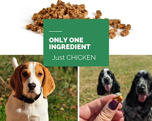 PawGang, Chicken Meaty Cubes 200g, Natural Training Treats for Dogs: Puppies Young Adult Old Small Large Dog - Image 4