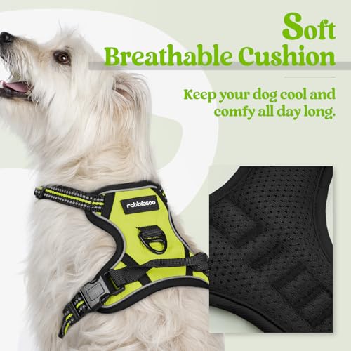 Image of rabbitgoo Dog Harness No Pull with 2 Leash Clips, Adjustable Soft Padded, Reflective Oxford No Choke Pet Vest with Easy Control Handle for Puppy, Green, XS