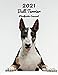2021 Bull Terrier Planificador Semanal: 123 Páginas | Tamaño A4 | Calendario | 14 Meses | 1 Semana en 2 Páginas | Agenda Semana Vista | En español | Perro
