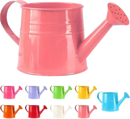 Gießkanne Klein Zimmerpflanzen 1L Kleine Gießkanne Metall Blumentopf Giesskanne Garten Balkon Watering Can Kieskanne Vintage Blumengießkanne Pflanzengießkanne Gartenwerkzeug (1PC/Rosa)