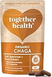 Pilz Chaga Organic 60 Kap.