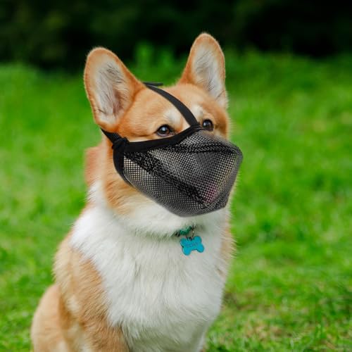 Maulkorb für Große Hunde, Verstellbare Atmungsaktive Haustier Maske Maulkorb Kleine Hunde mit Klettverschluss, für Kleine Mittlere große Hundetraining (S) (S)