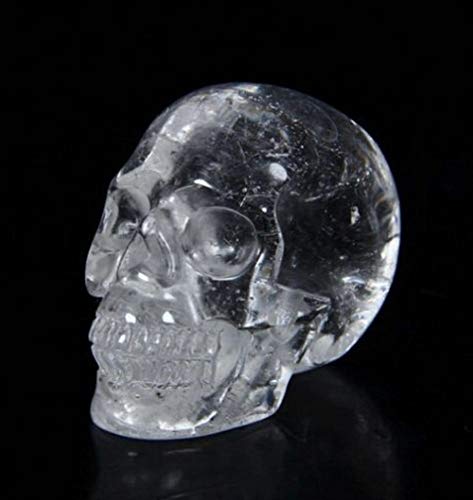 LOSAYM Soprammobili Sculture Teschio di Cristallo