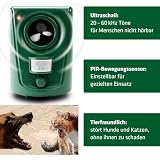 GARDIGO® Hunde- und Katzenabwehr | Hundeschreck und Katzenschreck für den Garten I Ultraschall Tiervertreiber 20-60 kHz I 120° Erfassungswinkel, 12m Reichweite | Gegen Hunde und gegen Katzen