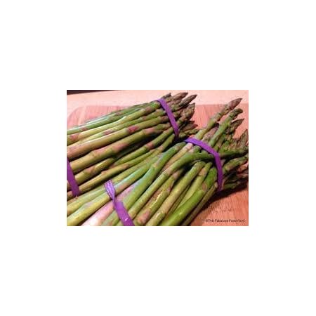#63 Lavender (Asparagus Produce) Rubber Bands 1lb Bag, 3" x 1/4" x 1/32"