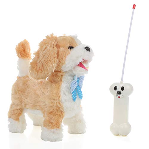 Best Remote Controlled Dog Affordable & Cheap Price Tomo Studio