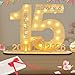 Seutgjie Deko 15 Geburtstag Mädchen Junge 2011-2026 Geldgeschenk mit LED Lichterkette Fliege und Geschenkpapier für Jubiläum Kristallhochzeit Hochzeitstag Tischdeko Originelle Holz Schild Gästebuch