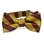 Maroon and Gold