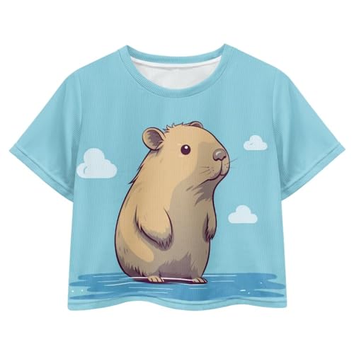 Image of Girl Crop Top Shirts for Summer Cute T Shirts Short Sleeve Tees for Kids 5-16