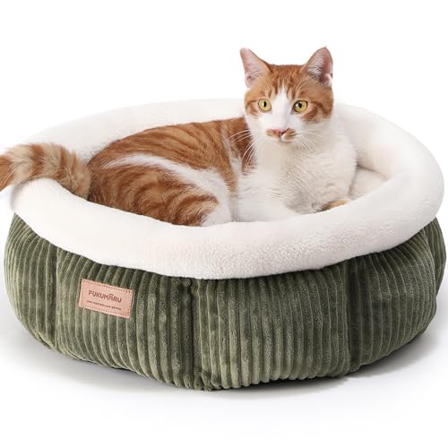 FUKUMARU Cuccia Gatto Interno, Lavabile Cuccia Rotonda per Gatti, Cuscino Morbido e Soffice per Gatti e Cuccioli, Letto Carina per Cani di Piccola Taglia in Velluto a Coste, Verde