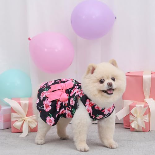 Robe en velours pour petits chiens au tissu doux et confortable
