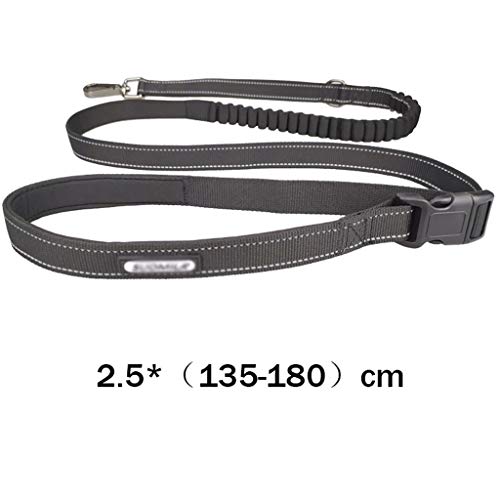 Dog leash in use during evening walk showing reflective stitching