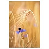 Das ganz besondere Geschenk zu jedem Anlass: Geburtstag, Muttertag, Weihnachten, Hochzeit, Valentinstag oder einfach für Zwischendurch!