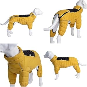 Dog Coat Dog Warm Jacket 4 Legs Covered Waterproof Windproof Reflective Warm Dog Vest Zippered Adjustable Outdoor Dog Snow Jacket for Small Medium Large Dogs Yellow M Cucciolini Doodles Dog coat dog warm jacket 4 legs covered waterproof windproof reflective warm dog vest zippered adjustable outdoor dog snow jacket for small medium large dogs yellow m cucciolini doodles