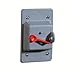 E98tscn-Car Toggle Switchcover F Series 295531 Thomas & Betts