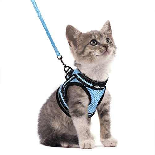 Rabbitgoo Cat Harness And Leash Set For Walking Escape Proof, Adjustable Soft Kittens Vest With Reflective Strip For Cats, Comfortable Outdoor Vest, Light Blue, S #TOP27