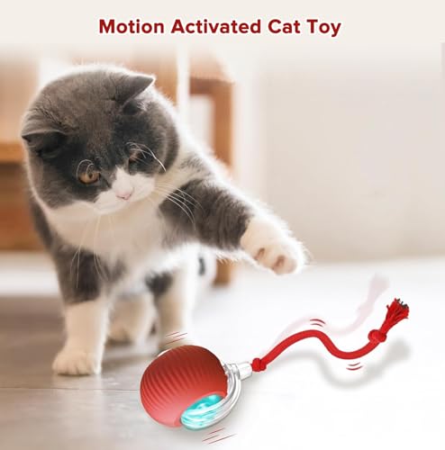 Interactive Cat Toy Ball with Code ZHPNJRQS - $7.78 - Image 5