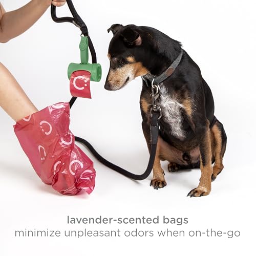 Image of Ubbi Retractable Dog Poop Bag Holder and Dispenser with Silicone Strap Leash Attachment, Includes 2 Rolls of Lavender Scented Leakproof Waste Bags, Green