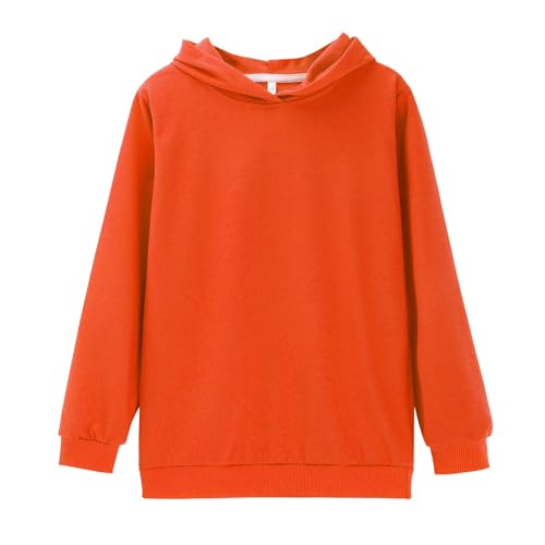 Boys Girls 2 Piece Sweatsuit Outfits Long Sleeve Casual Hooded Sweatshirt and Jogger Sweatpants Set Plain Winter Tracksuit4