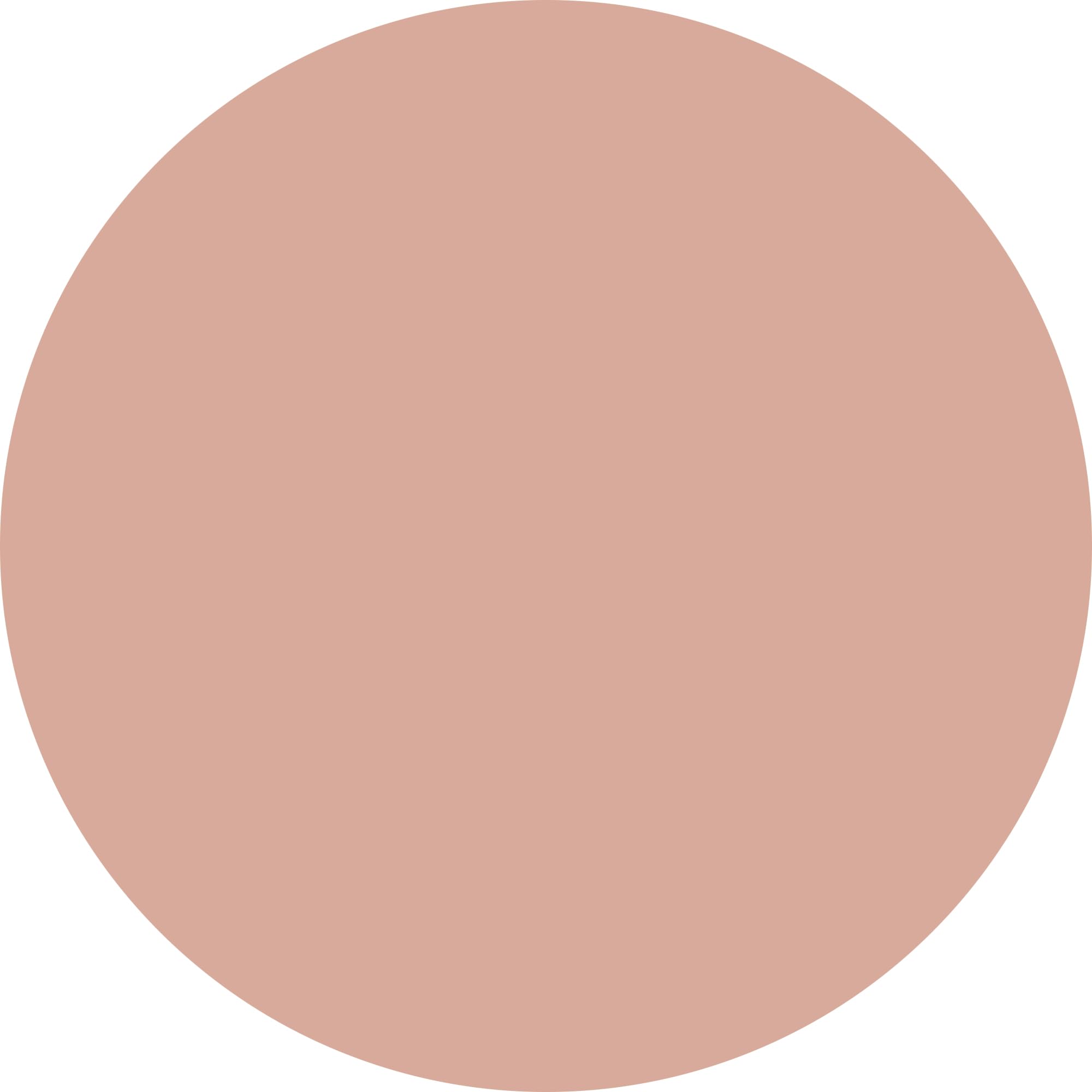 WYCON cosmetics BRONZING POWDER maxi terra abbronzante compatta specifica per scolpire il viso (100 light)