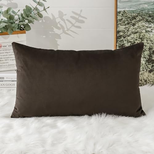 Artscope Luxury Velvet Cushion Covers Decorative Lumbar Pillowcases Soft Solid Cushion Cases for Couch Sofa Bedroom Car Decor 30x50cm Chocolate Brown - Image 3