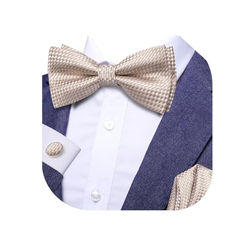 Image of Dubulle Mens Paisley Striped Bowtie Set Pre-tied Bowtie for Men and Pocket Square Set Wedding Business