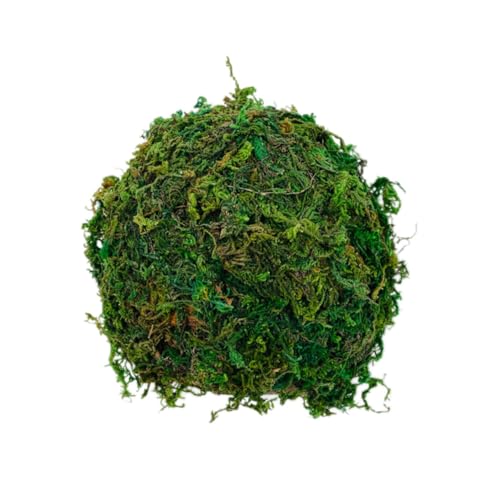 CVUTOVO ঒ރVF^[ nX^[pB @\oXLOvbgtH[ O[F ȉBꏊ 