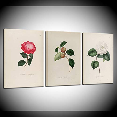 Tableau sur Toile Camélia de qualité supérieure pour décoration