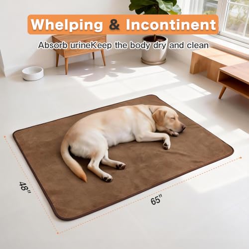 Image of Washable Pee Pads for Dogs, Extra Large Reusable Dog Pee Pad, Waterproof Pet Mat, Dog Playpen Mats for Puppy Training Whelping Playpen Pads