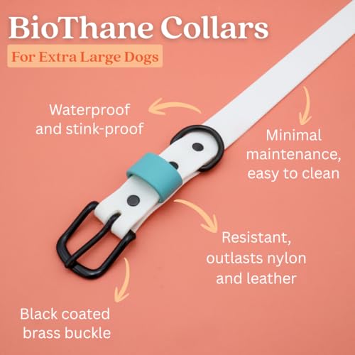 Collier pour chien imperméable taille XL blanc, boucle turquoise anti-odeurs - 3