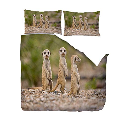 HANTAODG Bettbezug Set Bettwäsche-Set Tier DREI Erdmännchen 135x200cm 3 Teilig mit 2 Kissenbezug Mikrofaser Polyester Hypoallergen Bequem Weich Haltbar Atmungsaktive Reißverschluss 2 HANTAODG Bettbezug Set Bettwäsche-Set Tier DREI Erdmännchen 135x200cm 3 Teilig mit 2 Kissenbezug Mikrofaser Polyester Hypoallergen Bequem Weich Haltbar Atmungsaktive Reißverschluss