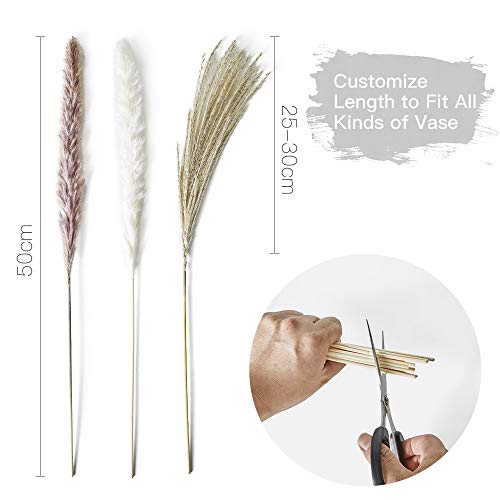 Foto von Janice Ky 60Stck 65cm Natürliche Pampasgras Getrocknet Mit 3 Flauschige und Schwungvolle Trockenblumen Getrocknete Blumenfür Hochzeit Blumenarrangements Home Décor